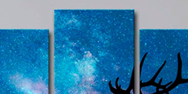 Impresión en Lienzo